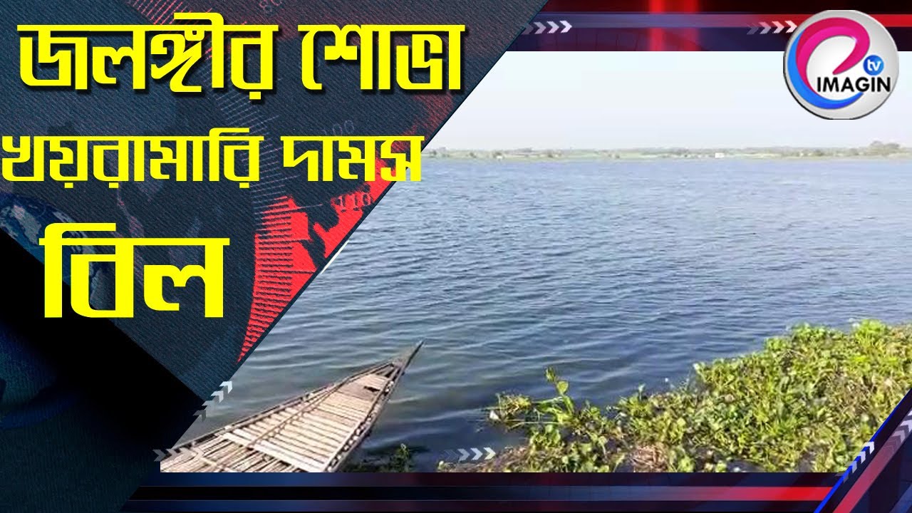 জলঙ্গীর শোভা খয়রামারি দামস বিল