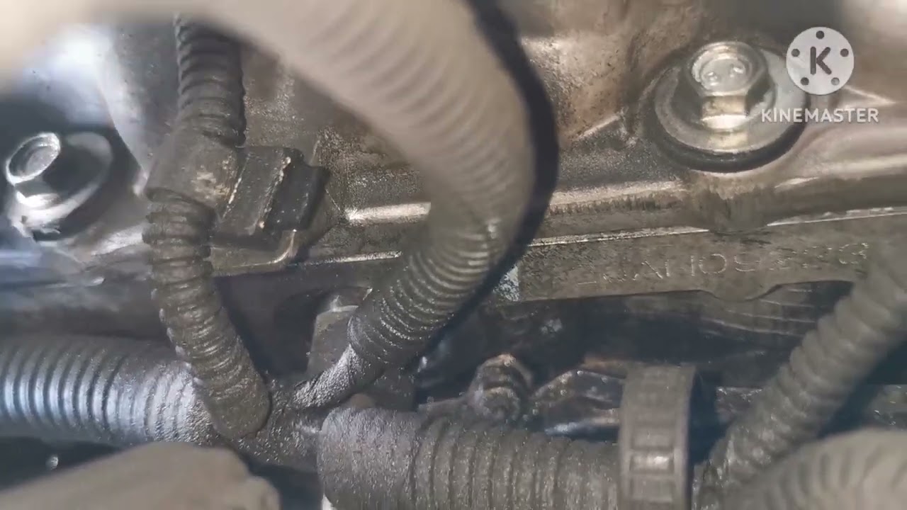 Berapakah kos repair? Enjin bunyi kasar & leaking minyak hitam Isuzu dmax