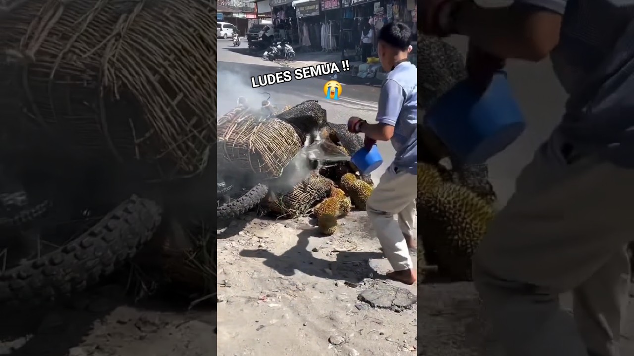 DURIAN HASIL PANEN SEBULAN LUDES DITENGAH JALAN #durian #benermeriah