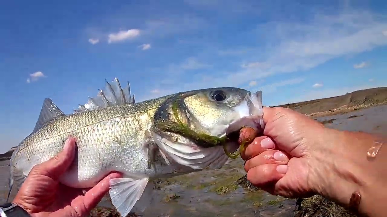 My PB Bass off the top with the Patchinko 125.