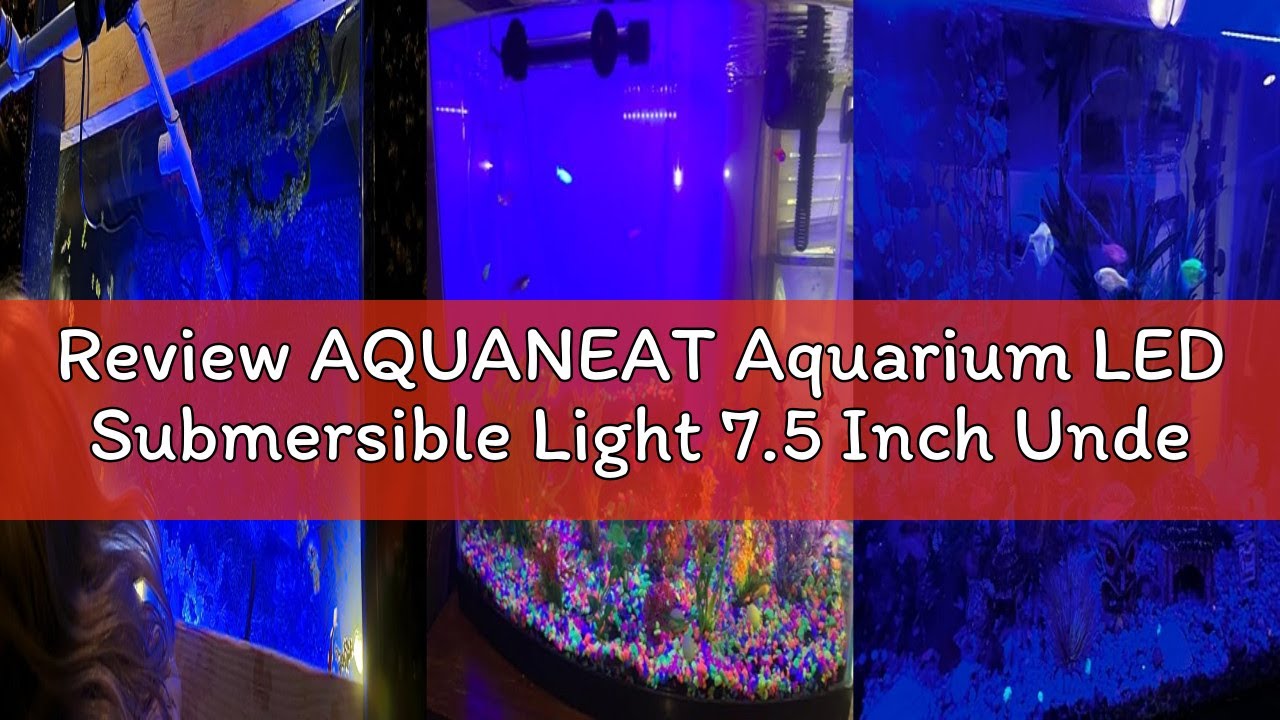 Review AQUANEAT Aquarium LED Submersible Light 7.5 Inch Underwater Fish Tank Light (Blue)