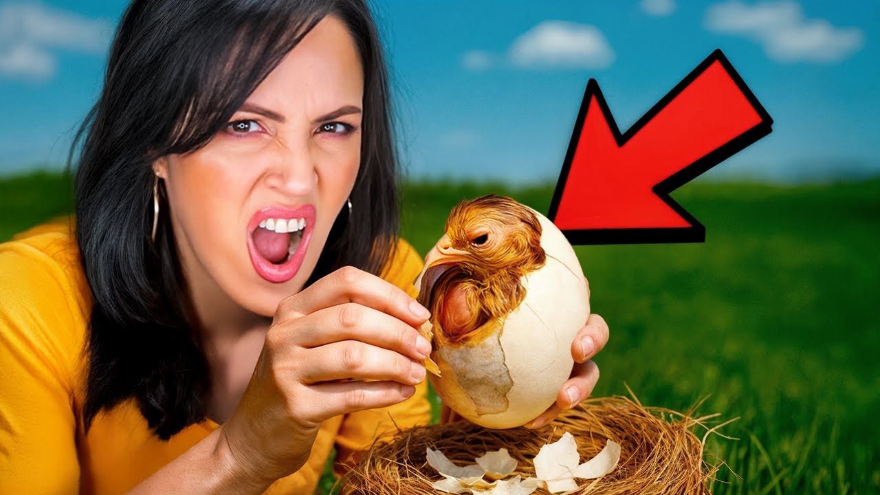 Saco Un Pollito del Cascarón Y Limpio la Casita Rodante ❤️ Sandra Cires Vlog
