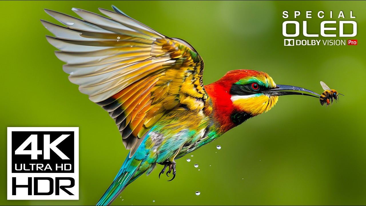 Beautiful 4K Videos with relaxing music for stress relief | 4K HDR 60fps | Dolby Vision