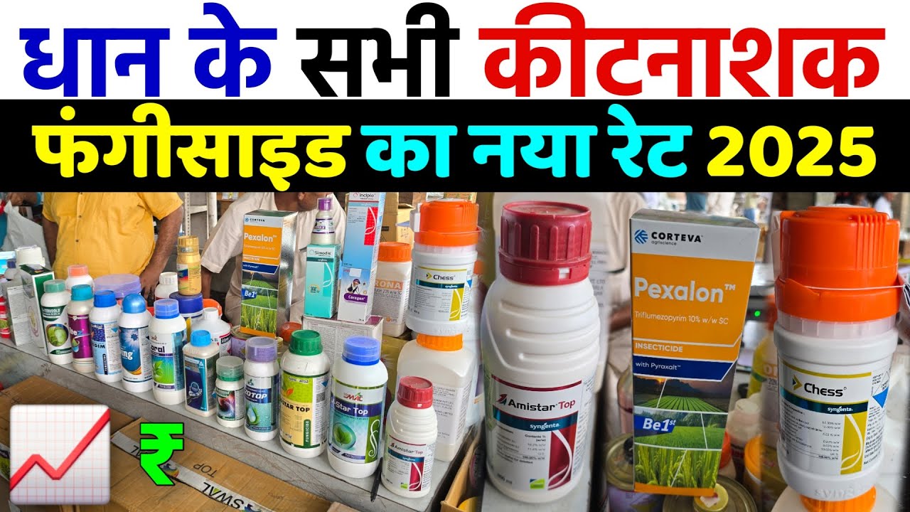 धान‌ के सभी कीटनाशक और फंगीसाइड का नया रेट | दुकान पर जाने से पहले जरूर देख‌ लेना 📈 Dear Kisan