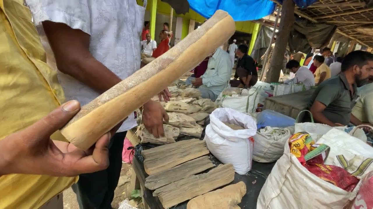 Agarwood Market In Assam/ Agarwood Market/Agarwood Ke Sabse Bada Market