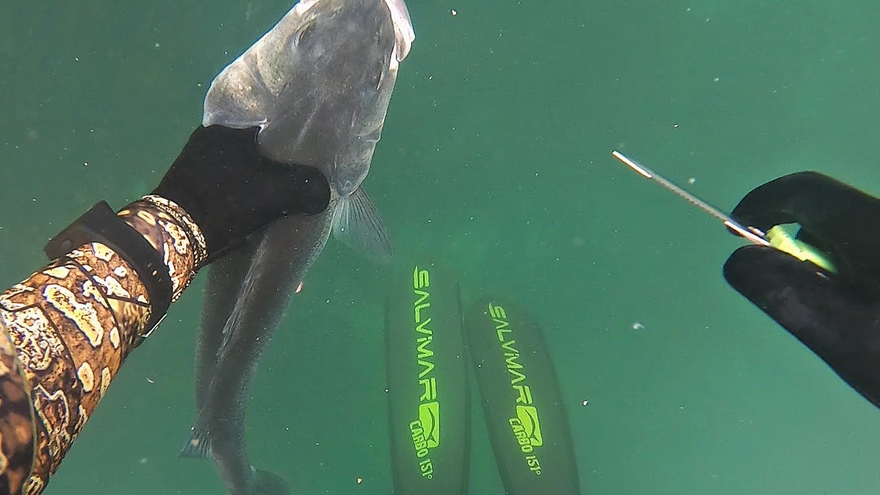 Spearfishing UK - 3 Fish Pâté (Bream, Bass and Mackerel)