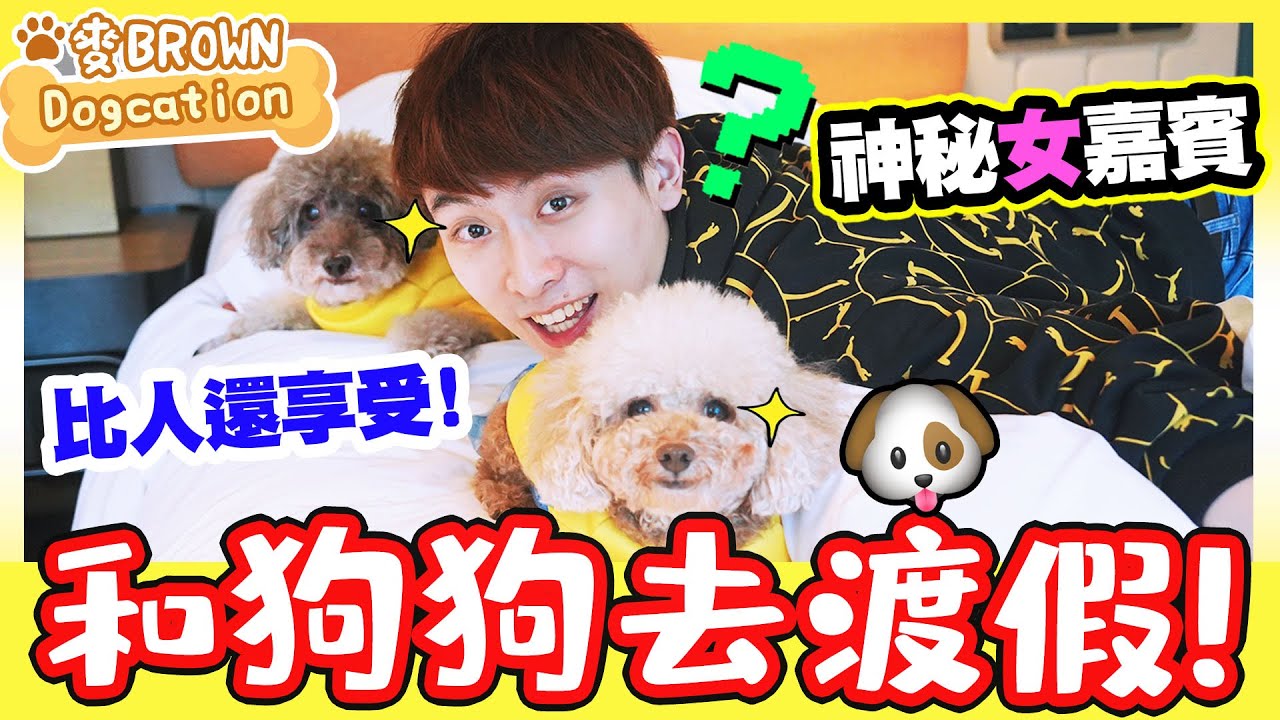 【🐶帶狗狗去渡假Dogcation】竟然比人還享受🤣？麥BROWN首次住酒店就遇到「神秘女嘉賓」😲(中文字幕)#1