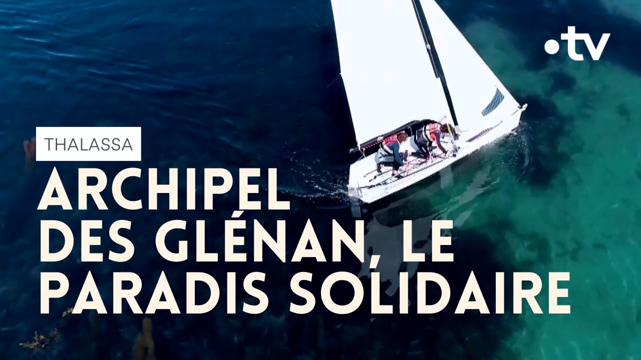 Une école de voile mythique - Thalassa