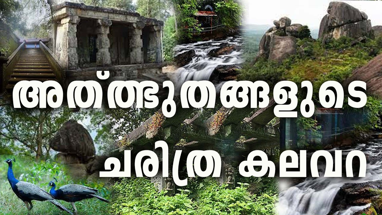 നൂറ്റാണ്ടുകള്‍ പഴക്കമുളള വനാന്തരത്തിനുളളിലെ അപ്പൂപ്പന്‍  