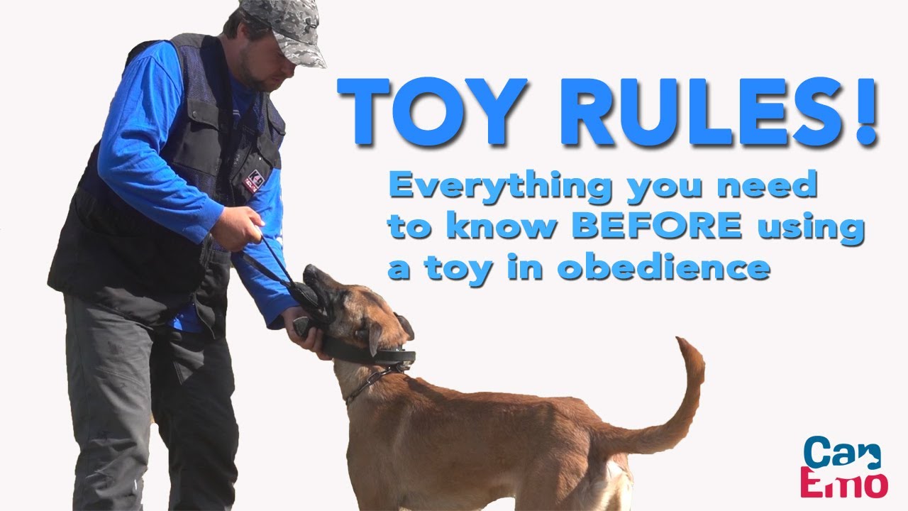 Toy Rules for Obedience by MARKO KOSKENSALO
