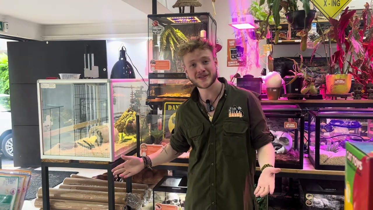 Guia para ter um Leopard Gecko. 🦎