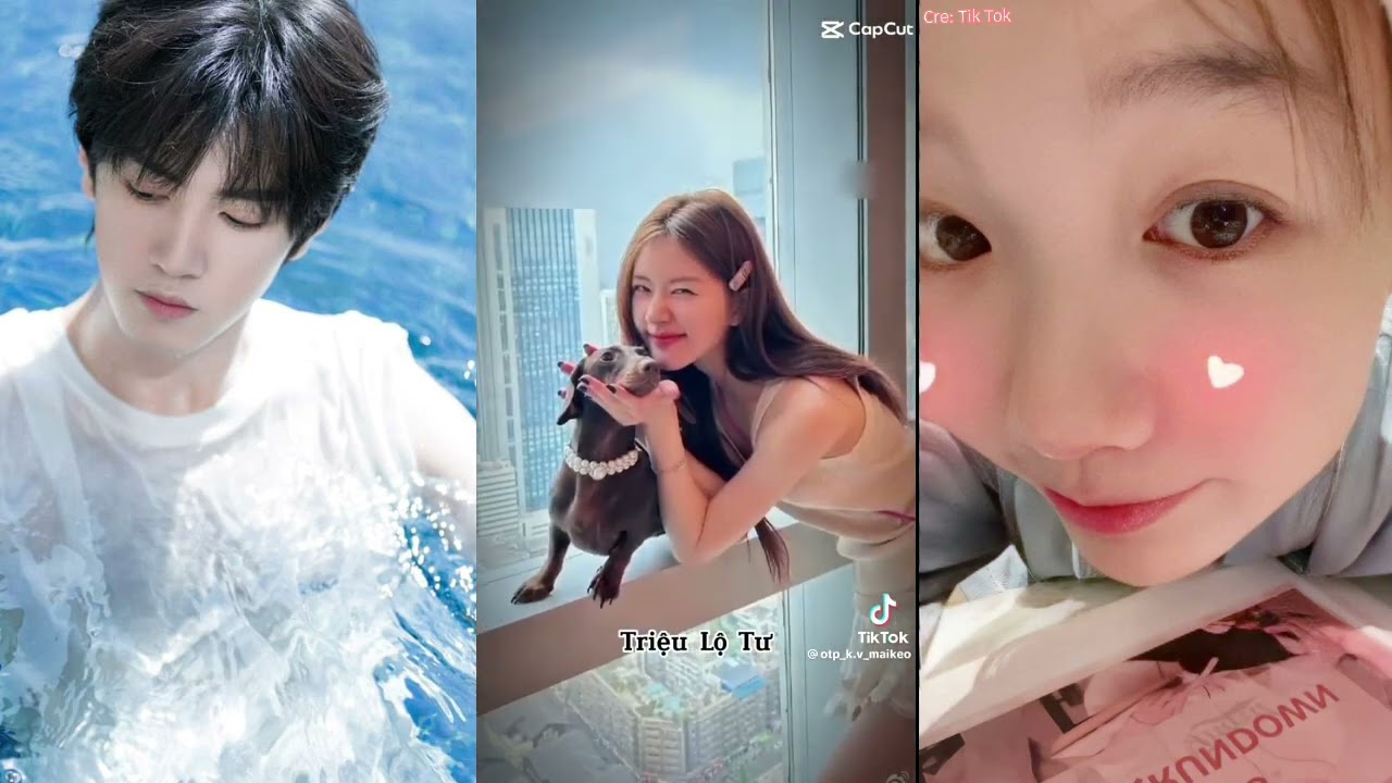 BÍ MẬT NƠI GÓC TỐI|Trần Triết Viễn⭕ ,Từ Mộng Khiết 🌈 | tổng hợp tik tok 🎶