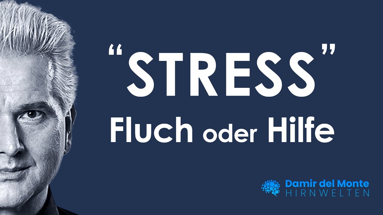 STRESS - FLUCH ODER HILFE | Dr. Dr. Damir del Monte | HIRNWELTEN