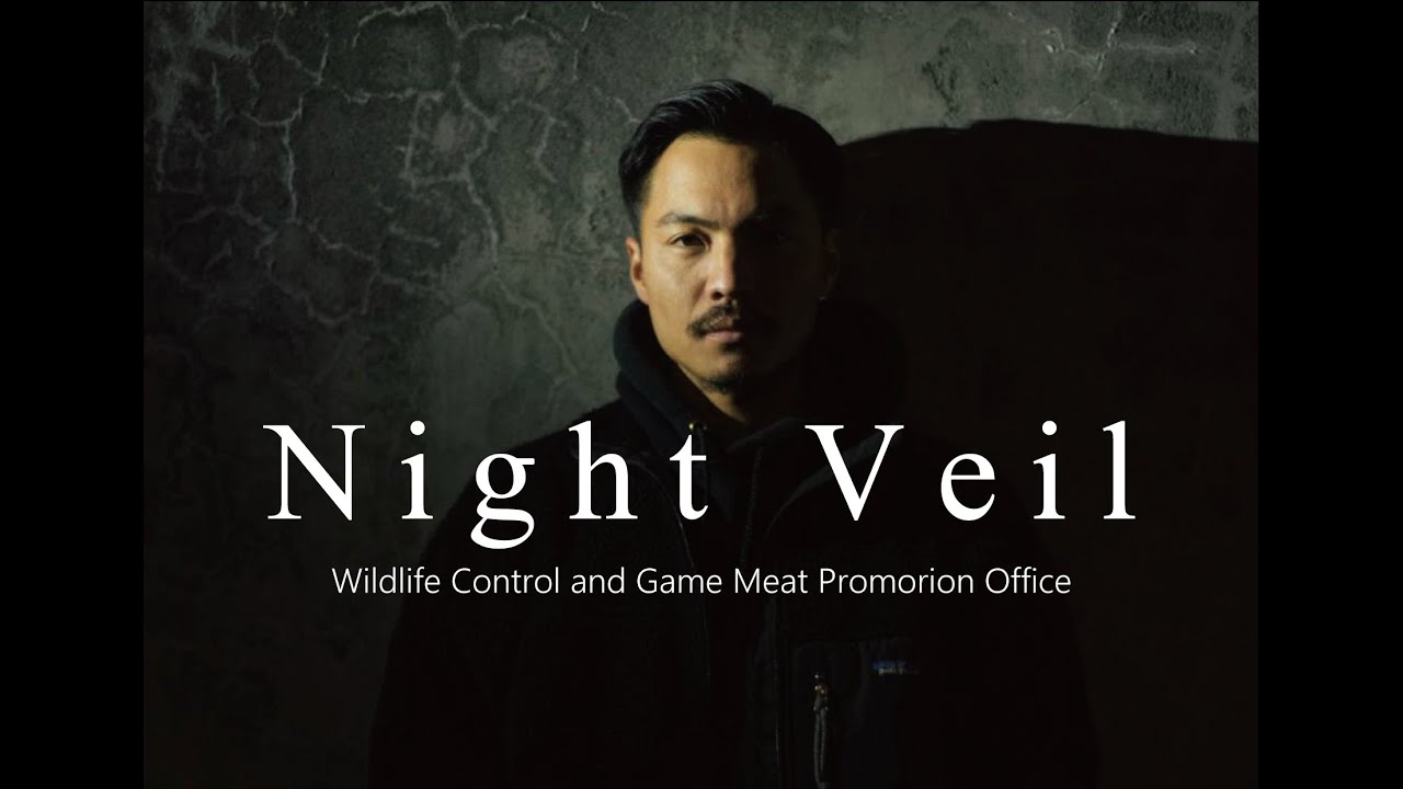 WRN - Night Veil [Official Music Video]