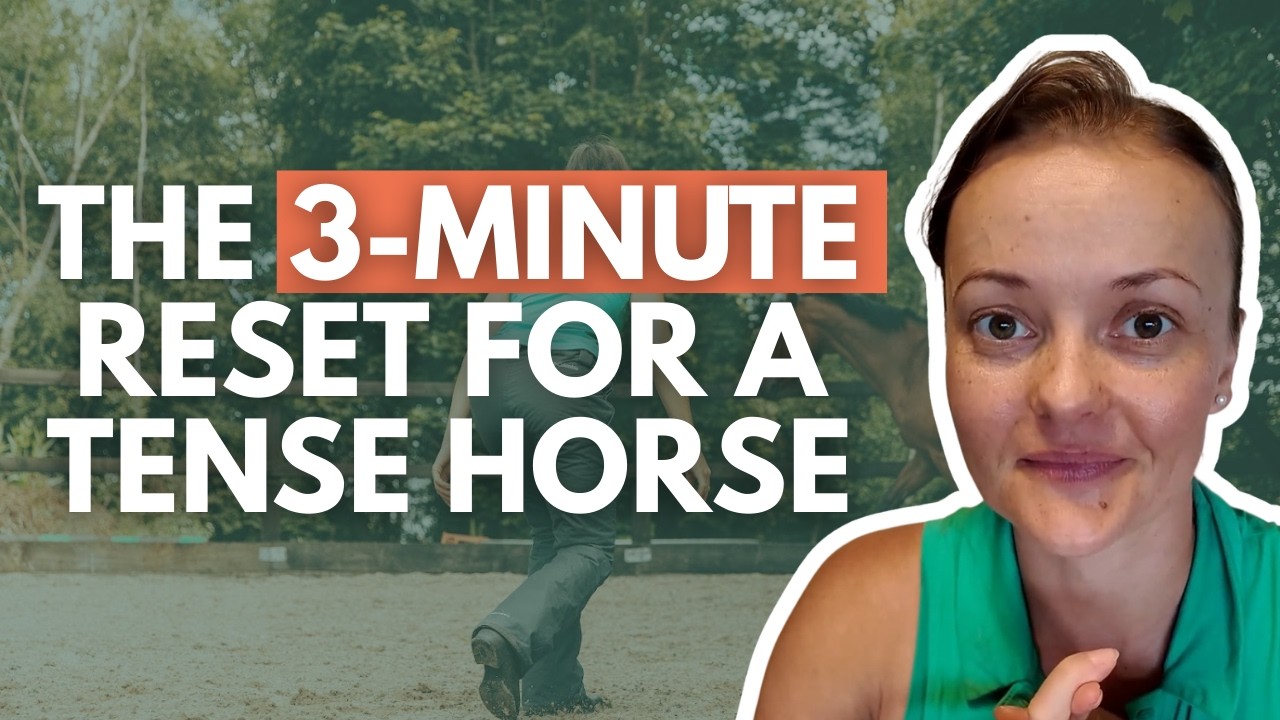 The 3-Minute Reset for a Tense Horse