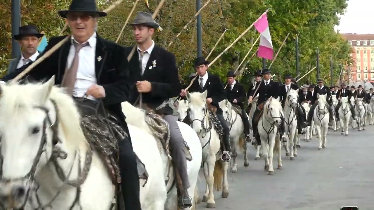 Pèlerinage des Gardians Lourdes 30/10/2023