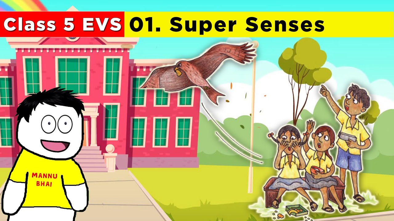 class 5 evs chapter 1 - Super Senses | Class 5 Evs | Super Senses