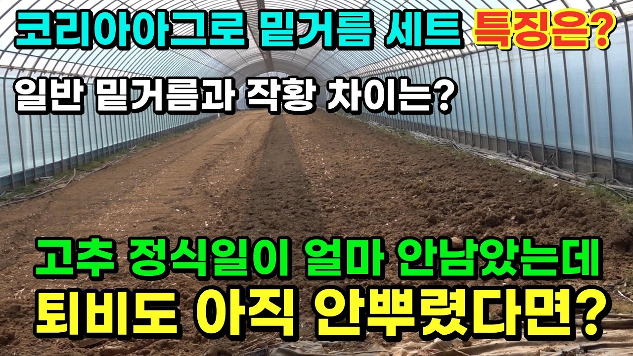 코리아아그로 고추 밑거름 세트 특징.