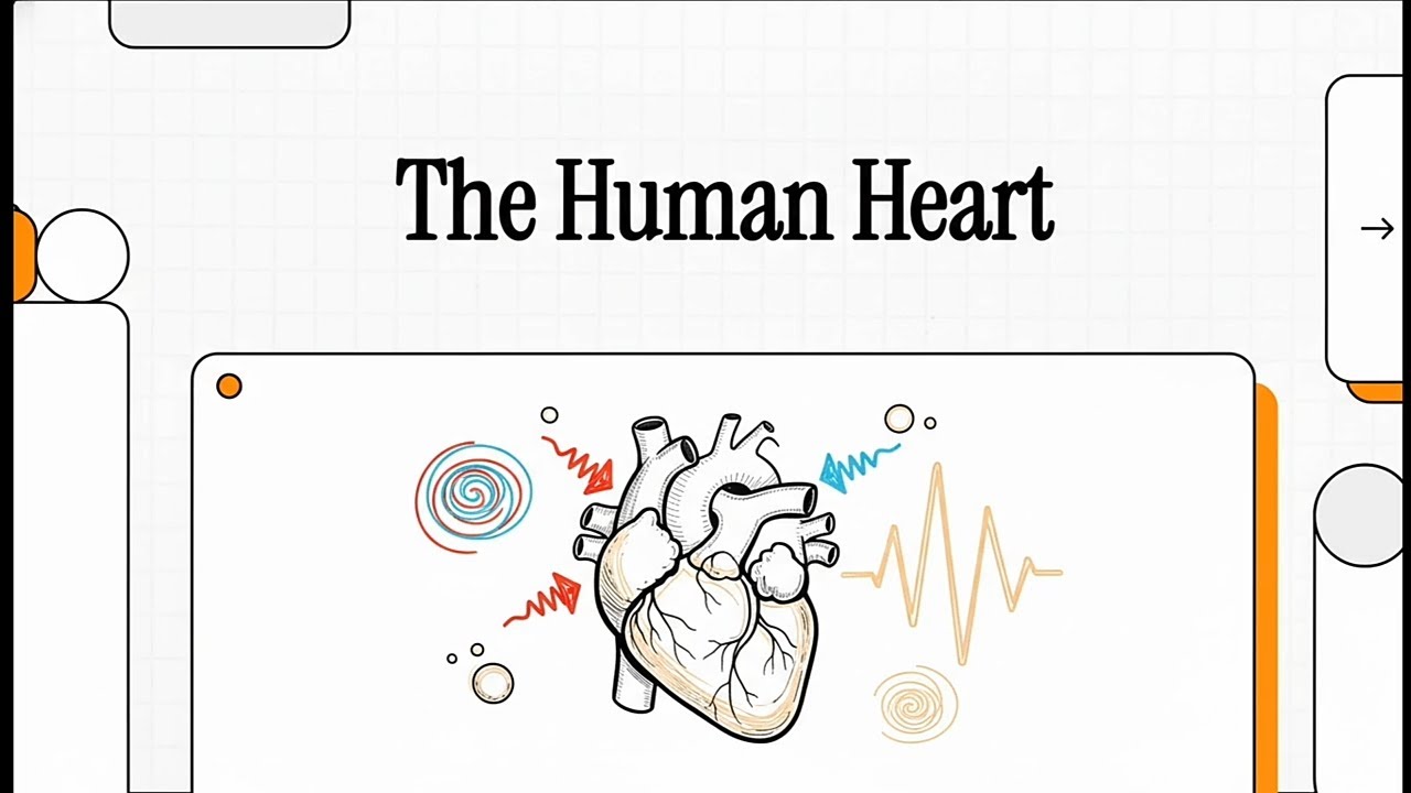 The Human Heart |Structure|Function#biology #medicos #science #medbio 