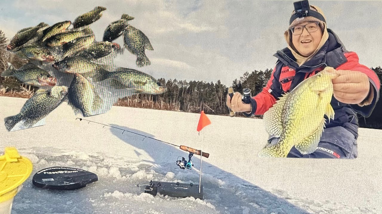 Ждем раннего льда! Окуньки!!! в Северном Висконсине! (Советы и хитрости!)