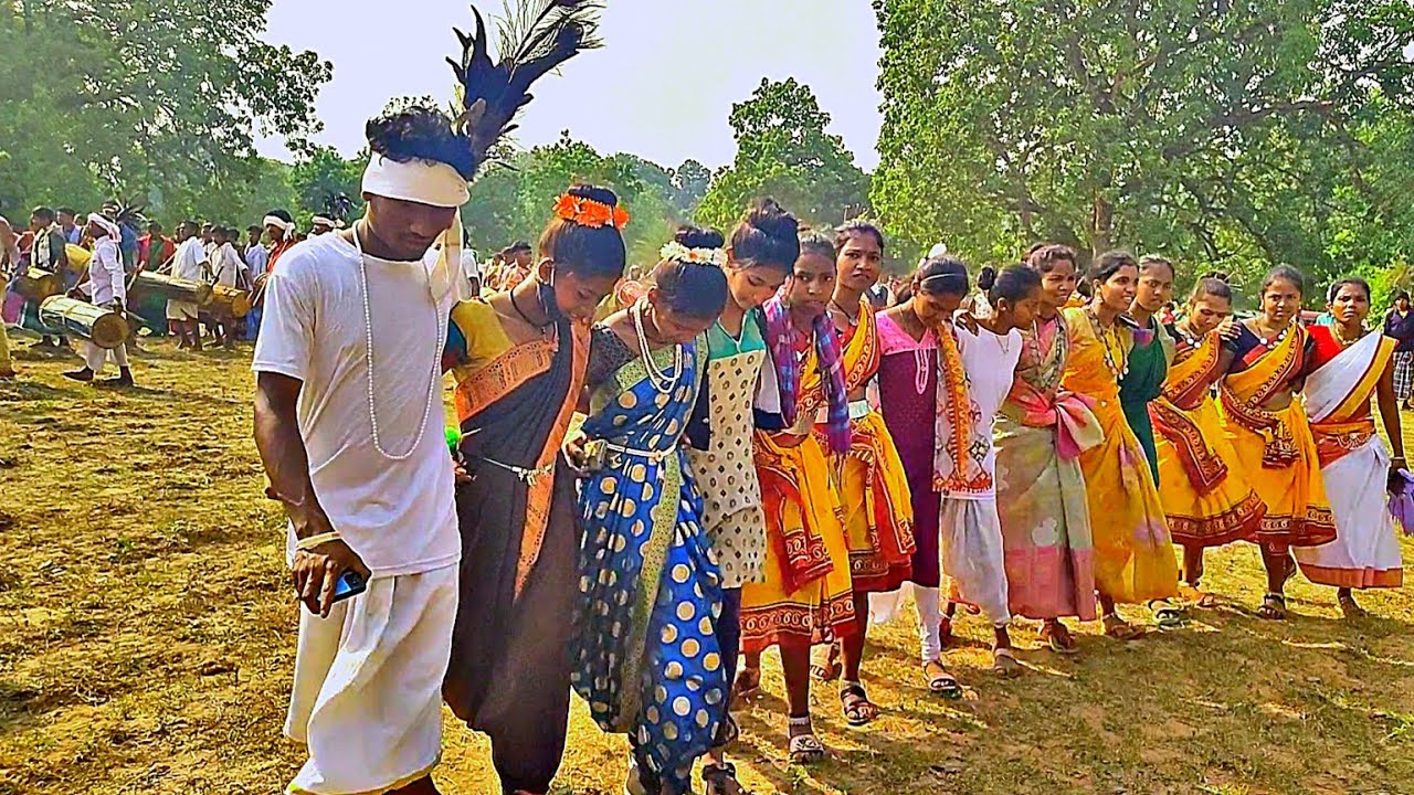 कोया पेंडुल ढोल नचा | Bastariya Shadi | Gondi Wala Video | by Lalo Kawasi