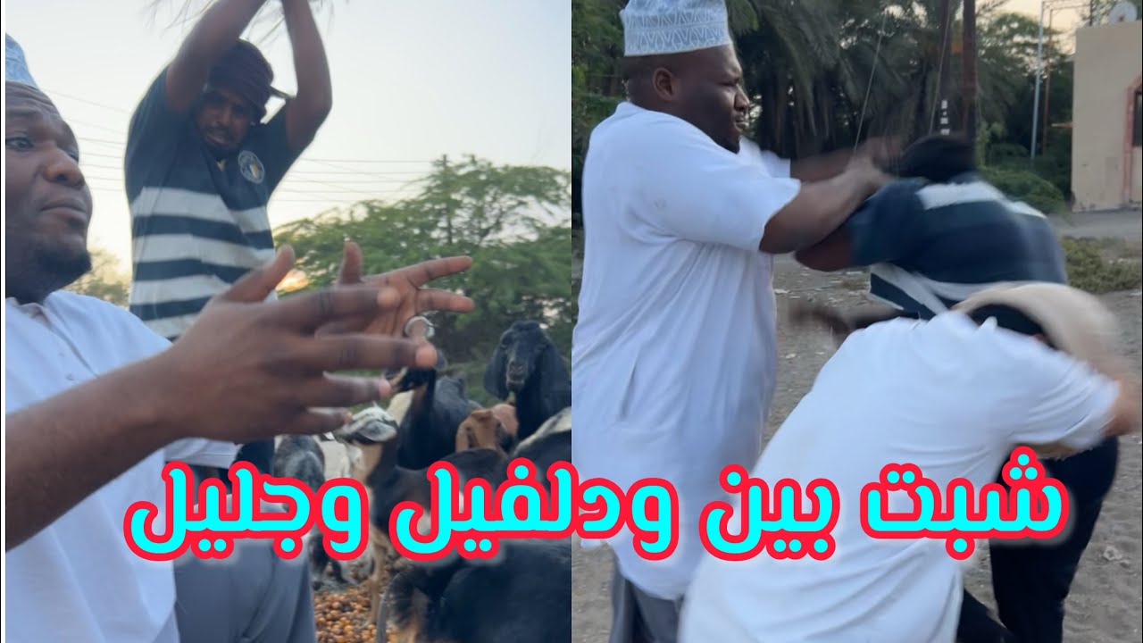 ودسيف سوا شرار ونار بين ودلفيل وجليل😂🤣