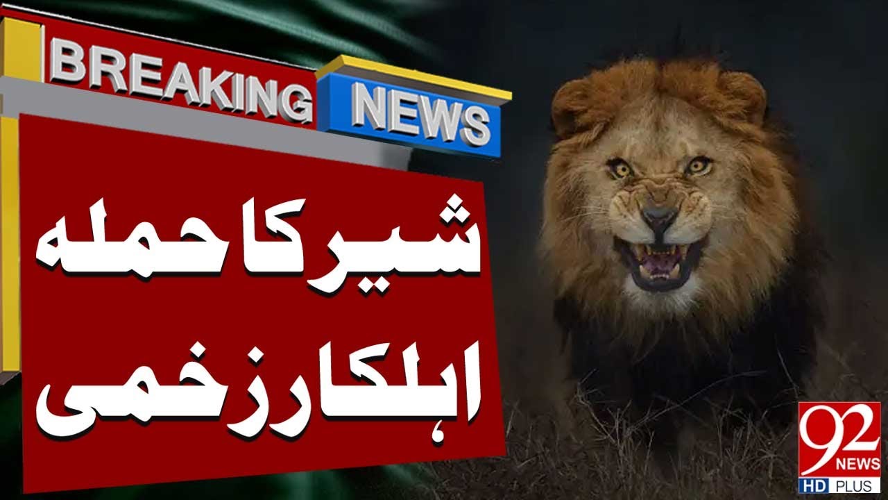 Lion Attack on Wildlife Officer | Officer Injured | Breaking News | 92NewsHD