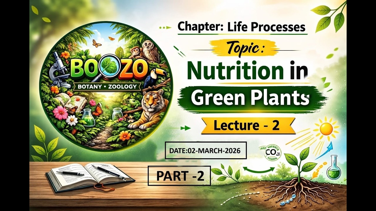 LIFE PROCESSES CLASS 10 | NUTRITION IN GREEN PLANTS | PART 2 | NCERT | BOOZO | LECTURE 2