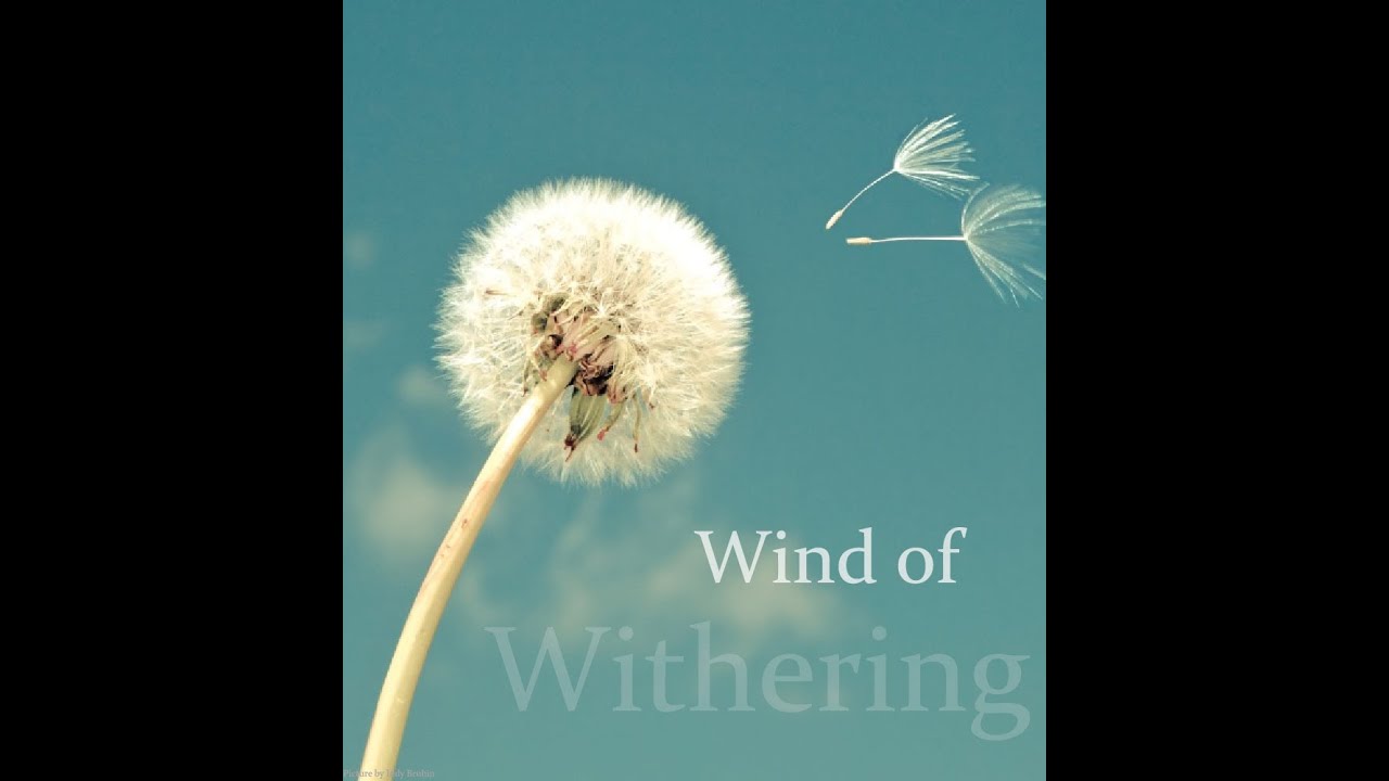 Wind of Withering - Ralf Uhl
