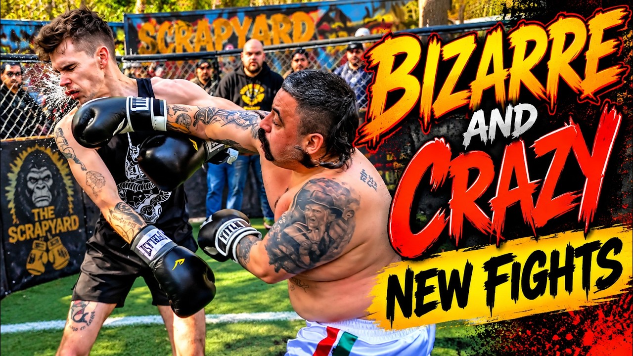 Bizarre and crazy NEW fights