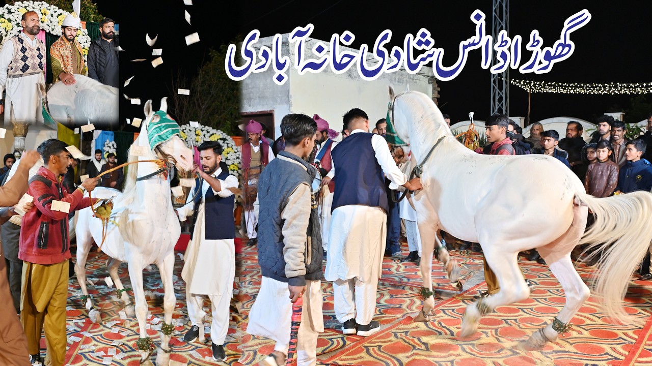 Ghora Dance Jhelum Pakistan 2026 | Ali Wedding Horse Dance