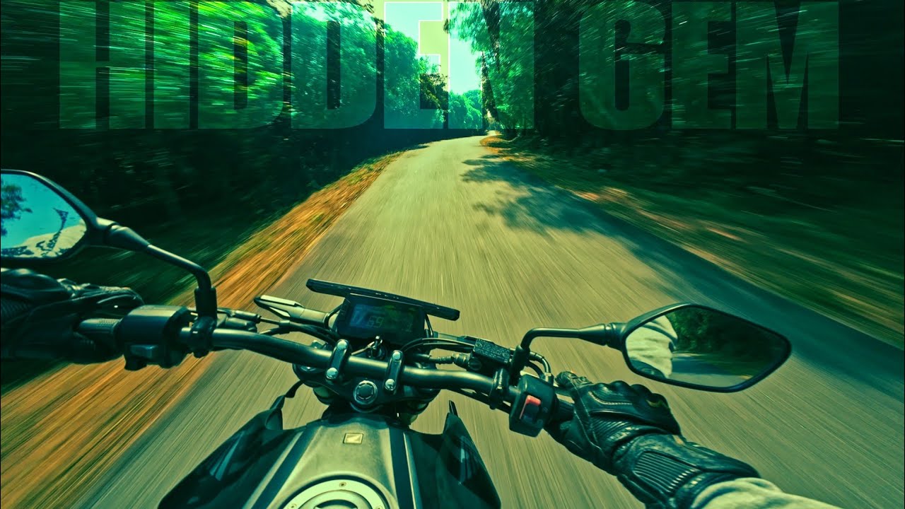 I Found a SECRET Forest Reserve near Bengaluru! (No People, Just Nature)
