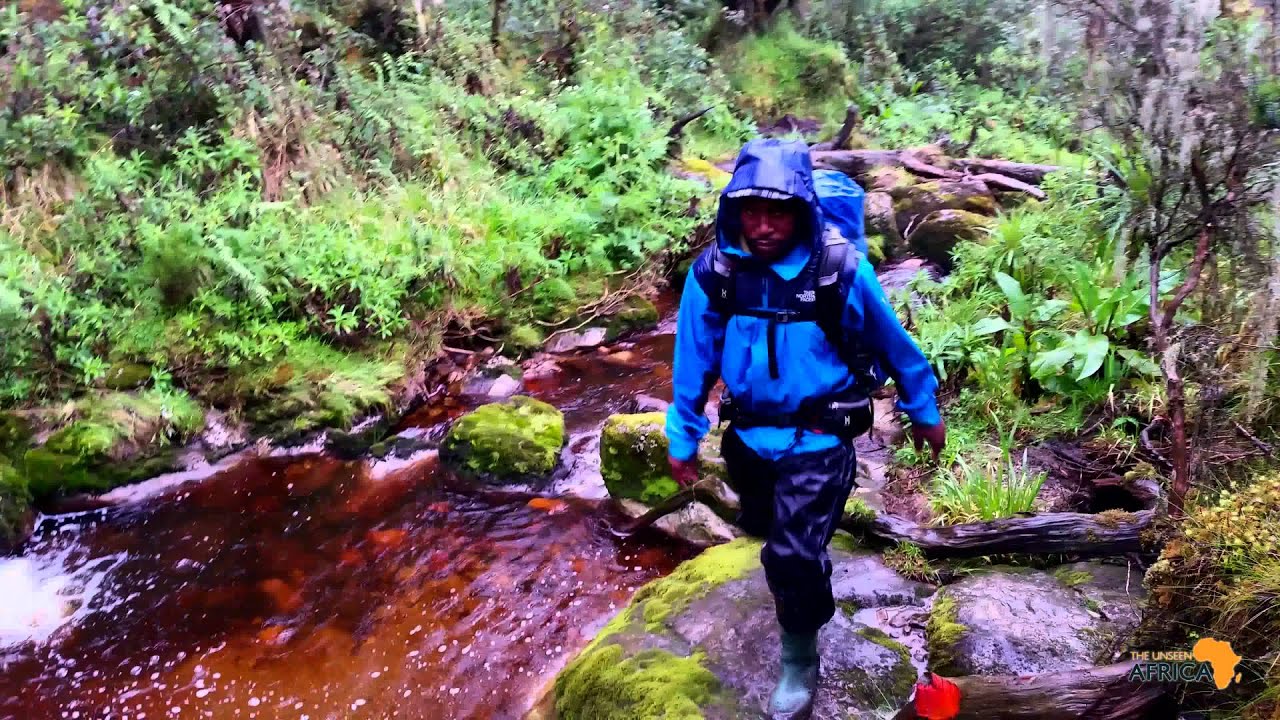 How To Climb to the Rwenzori Mountain Summit: Mt. Stanley & Margarita Peak