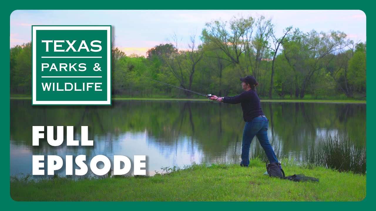 PBS Show - Prairie Rose Ranch & More