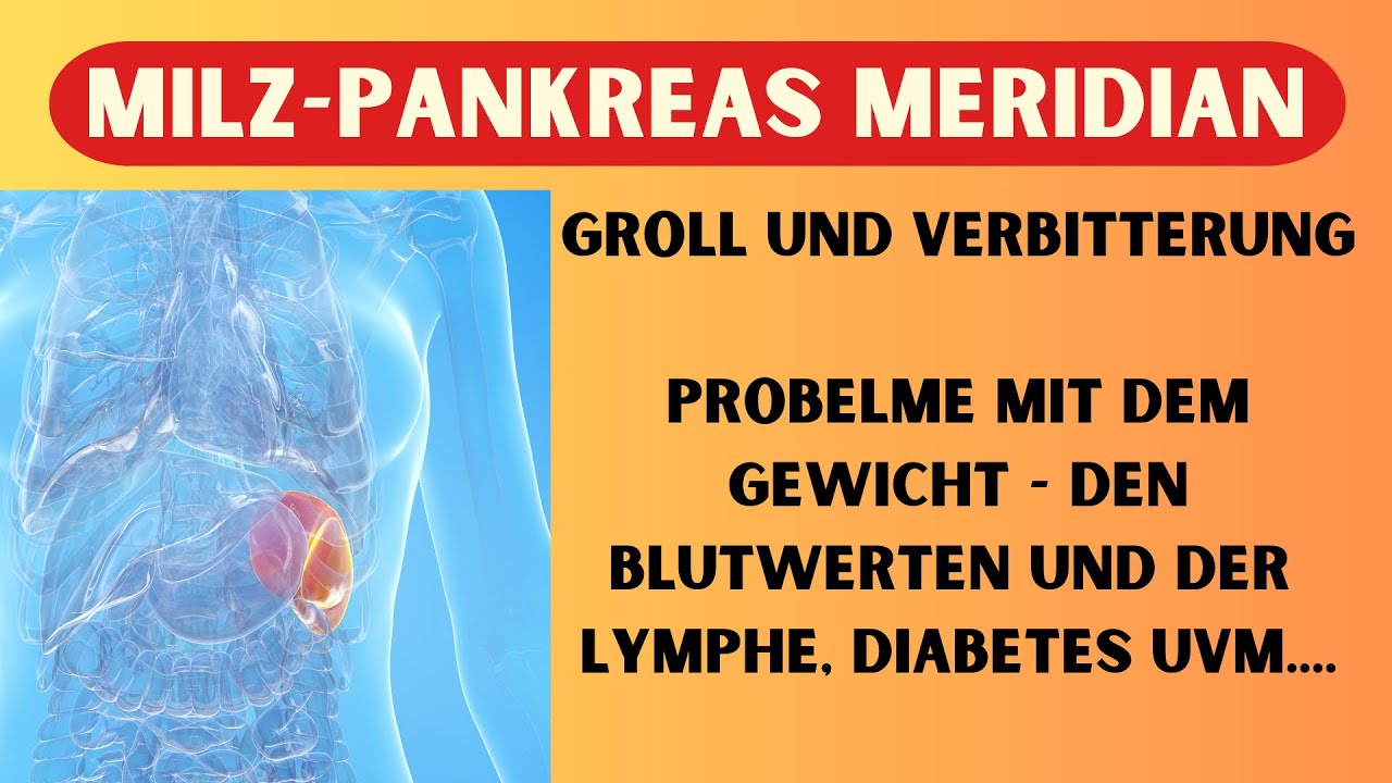 DEIN MILZ-PANKREAS MERIDIAN - Groll und Verbitterung, Probleme mit Gewicht, Blutwerten und Diabetes