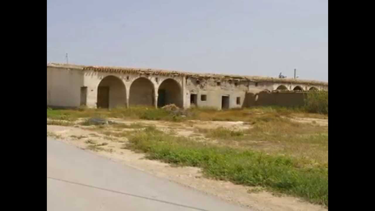 DUNYADAKI KIBRISLILAR (ALANICI)