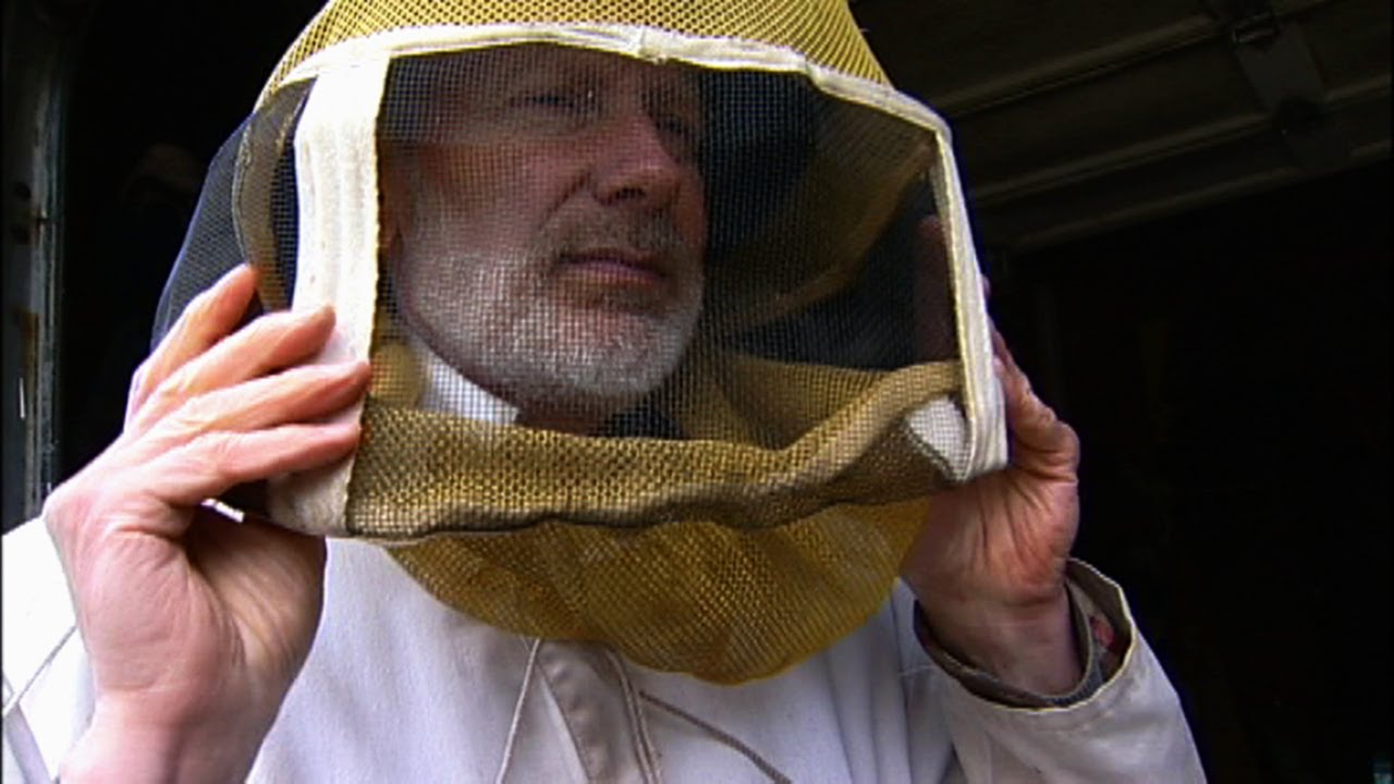 Foundations of Beekeeping: Essential Tips and Tools for New Beekeepers