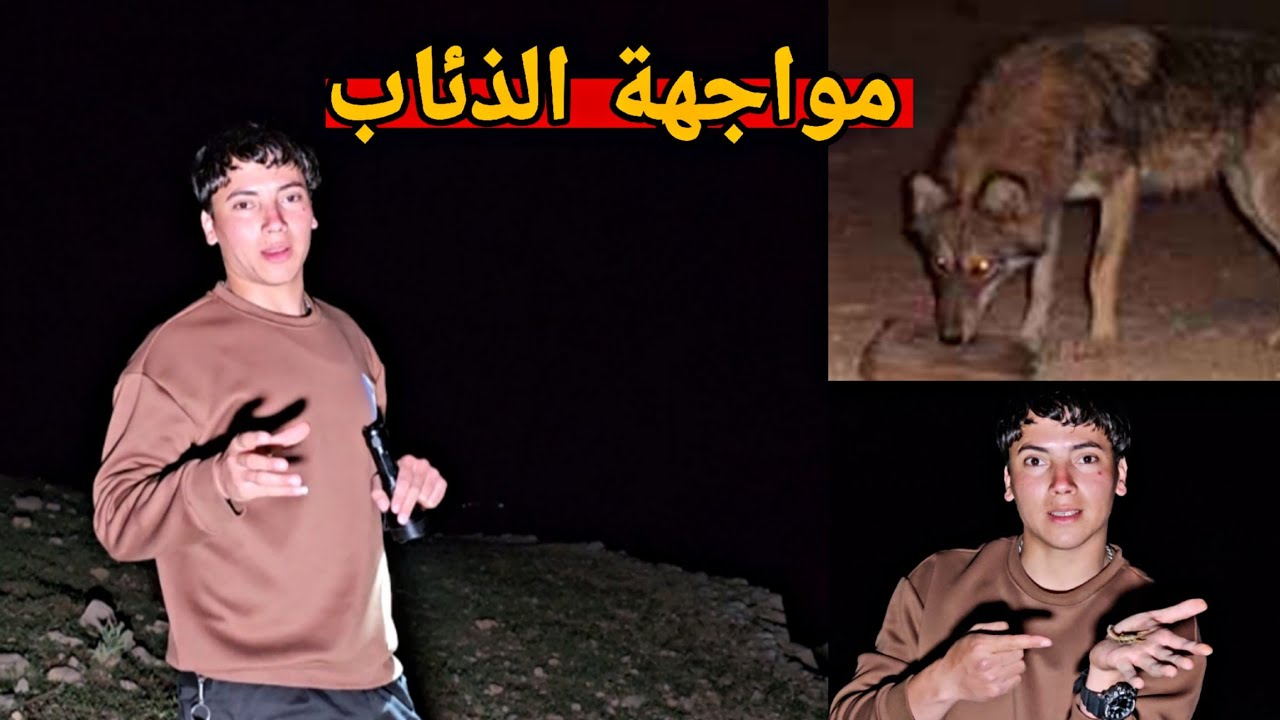 تخيم يوم كامل وسط الذئاب والزواحف السامة_شمال العراق