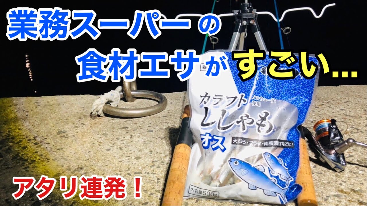 300円で大物連発！業務スーパーの「冷凍ししゃも」が驚異のエサだった…