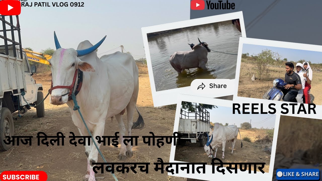 देवा भाई ला टाकली पोहणी॥REELS काढताना घेतली मज्जा 🤪😂॥RAJ PATIL VLOG 0912॥Vlog no.17