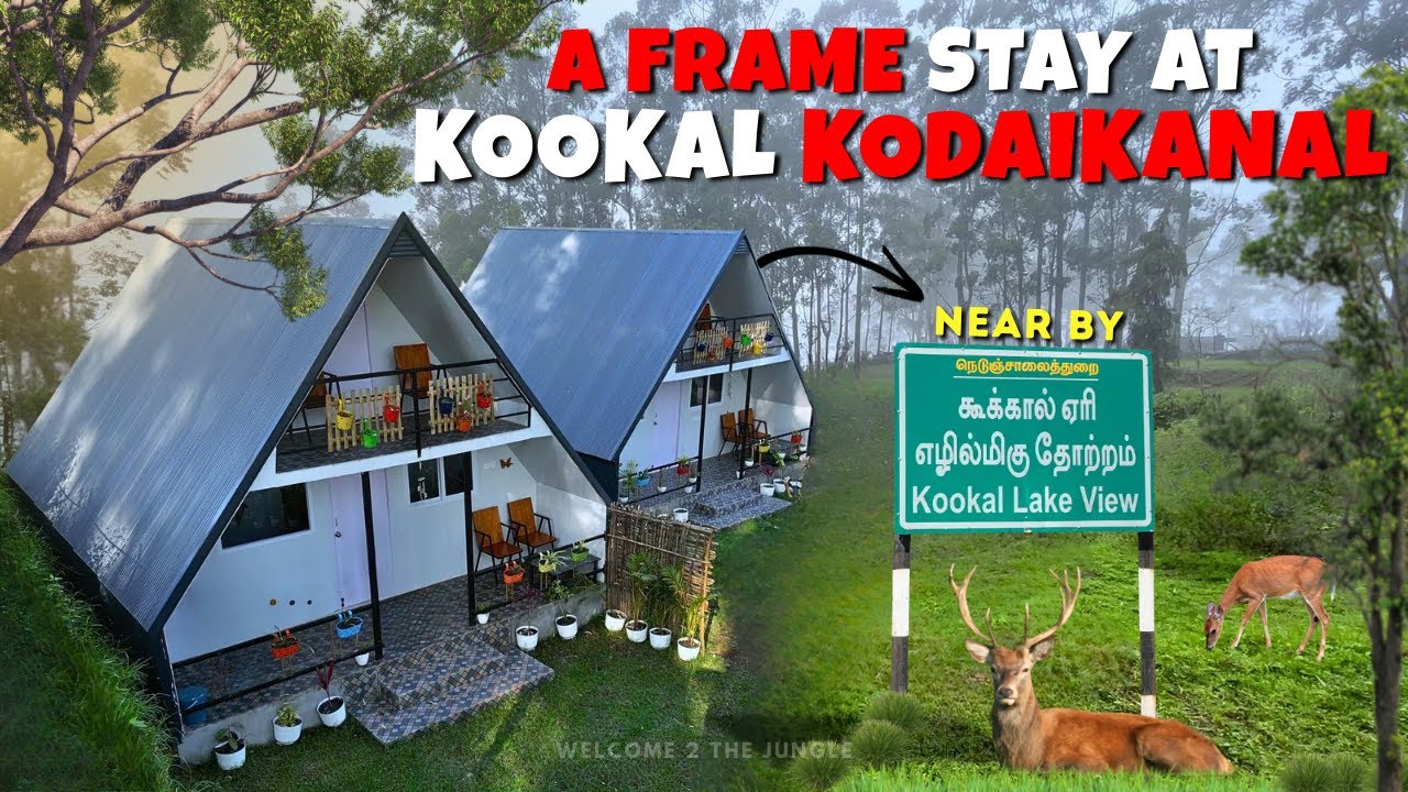 A Frame Stay At Kookal Kodaikanal 😍 | Kodaikanal Resorts | Kodaikanal Resorts in Tamil | Kookal stay