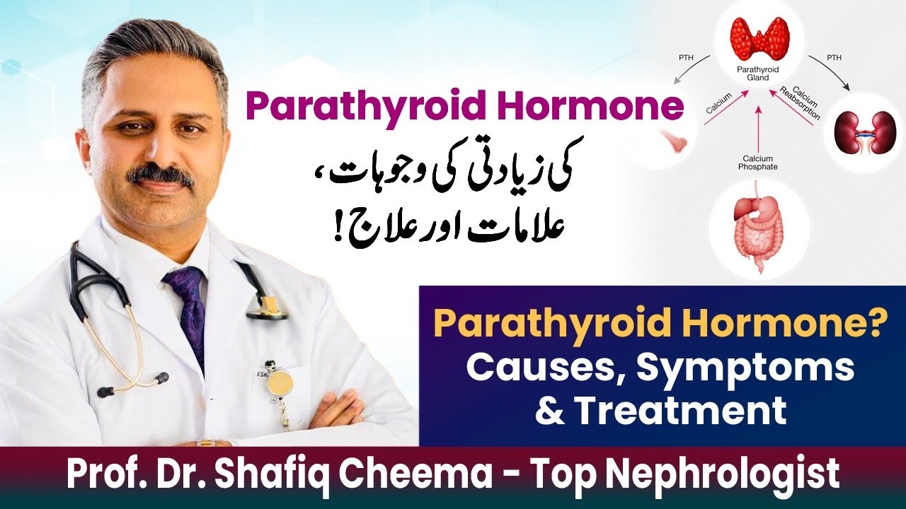 Elevated Parathyroid Hormone or Hyperparathyroidism | Causes, Symptoms & Treatment