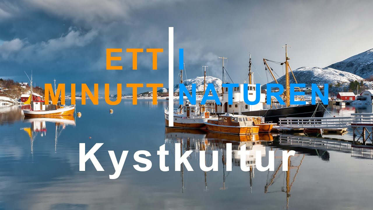 Ett minutt i naturen - Kystkultur