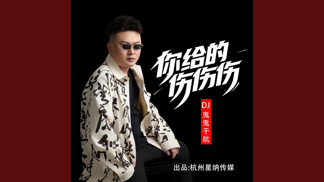 你给的伤伤伤 (DJ豪大大版)