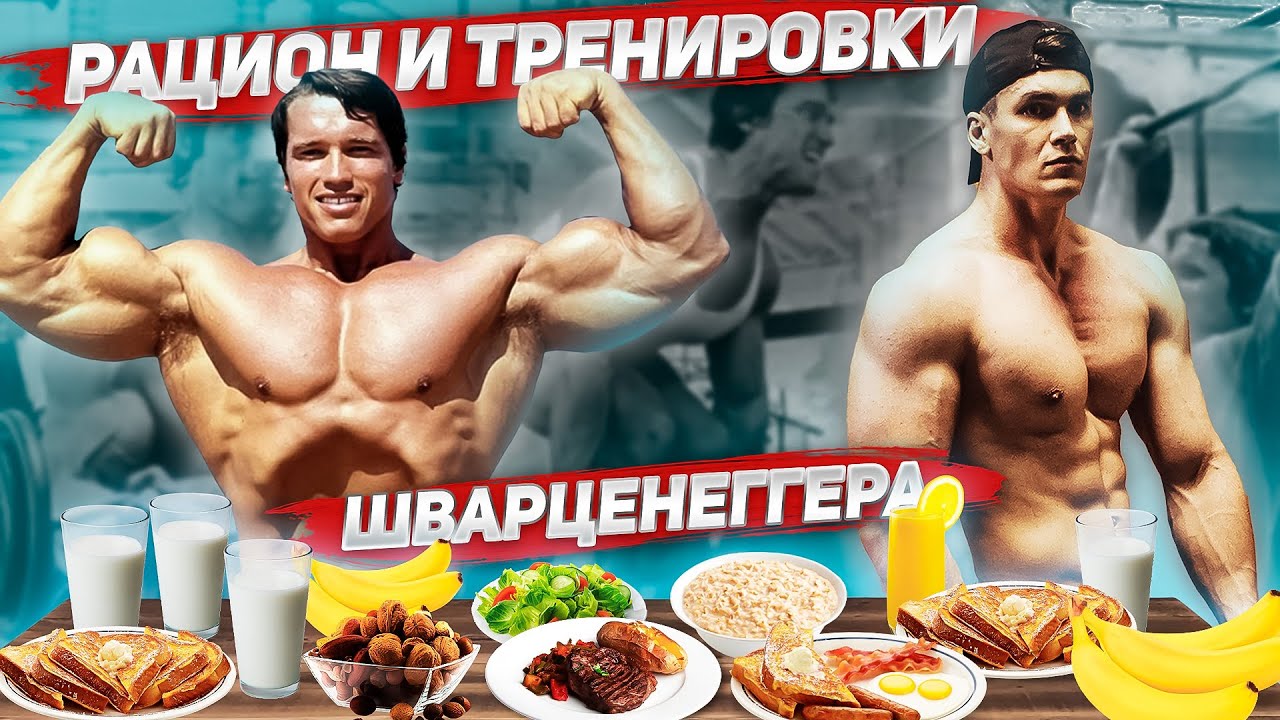 РАЦИОН ПИТАНИЯ И ТРЕНИРОВКИ АРНОЛЬДА ШВАРЦЕНЕГГЕРА