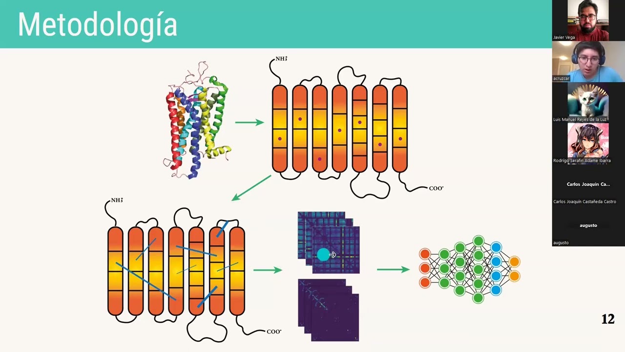 Redes neuronales convolucionales para clasificar proteínas.