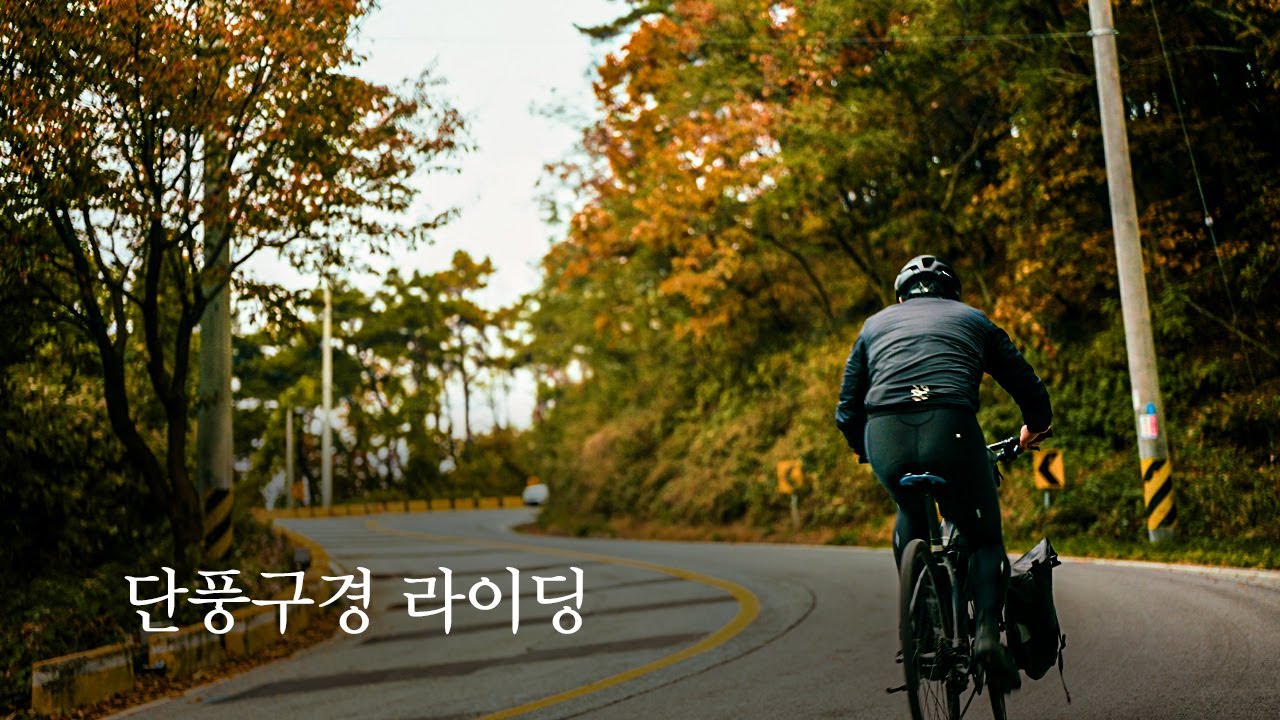 흐린날 자전거 타고 나홀로 단풍구경