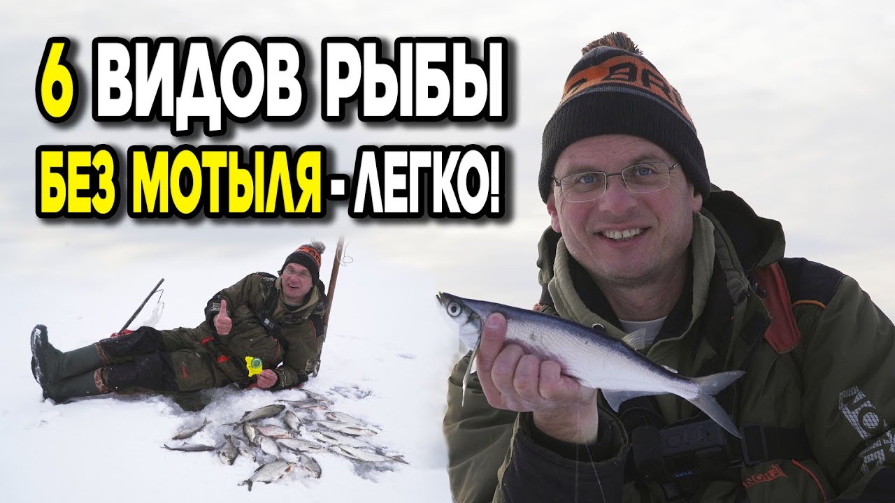 6 разных видов рыбы со льда без мотыля! Дядя Фёдор ловит на 