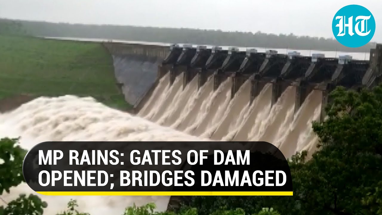 Watch: Madhya Pradesh dam gates opened as heavy rains swell up river