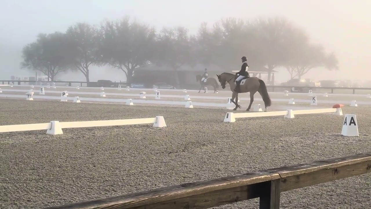 Audri Hoos Ocala 3 2025 IR